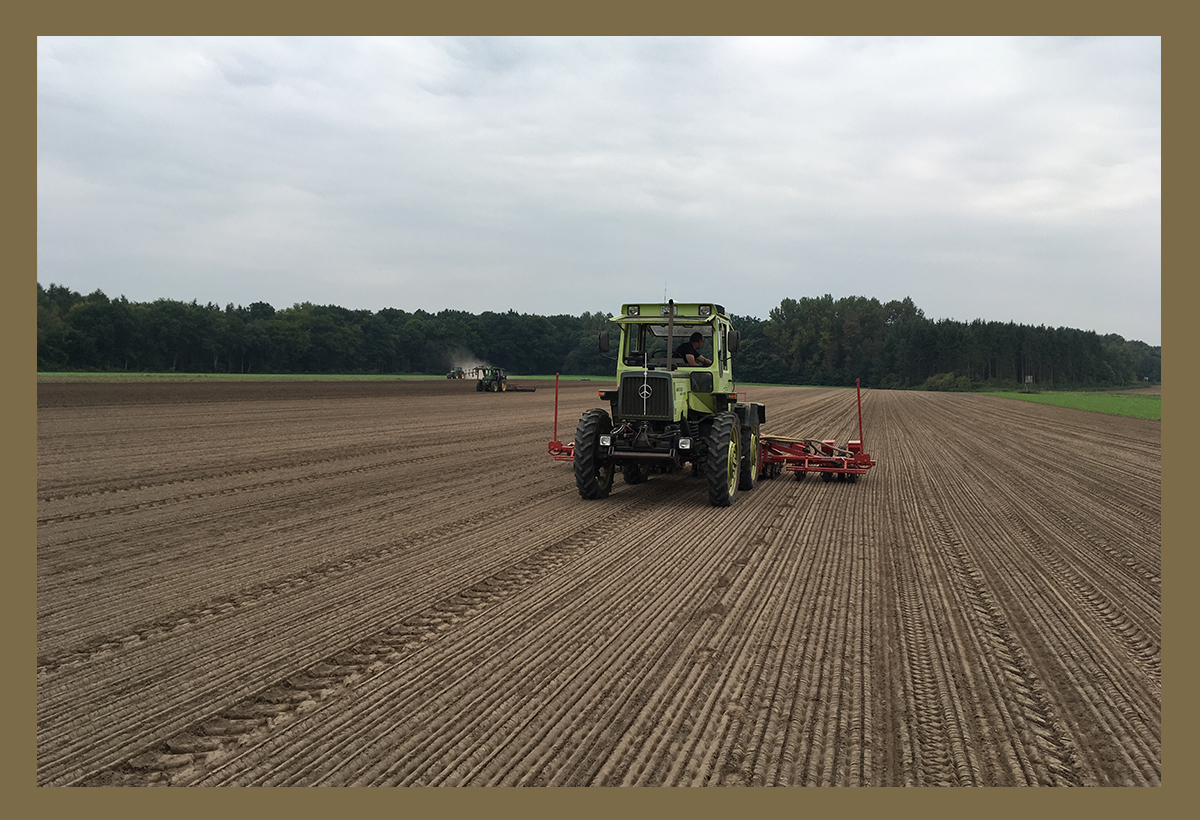 Traktor bei der Saatbettbereitung auf einem Feld von Sandfort im Münsterland